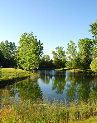 pond